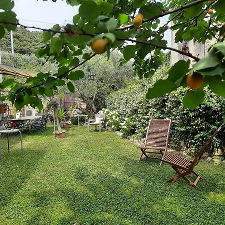Casa Olivia Lacrema Finale Ligure Eksteriør billede
